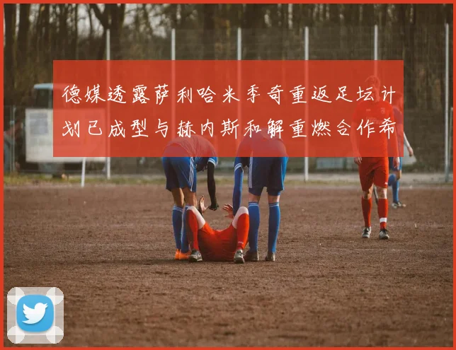 德媒透露萨利哈米季奇重返足坛计划已成型与赫内斯和解重燃合作希望