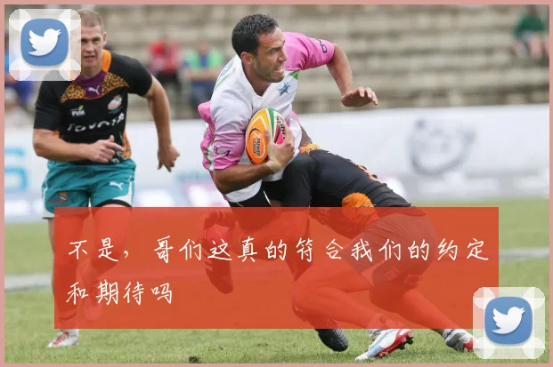 不是，哥们这真的符合我们的约定和期待吗